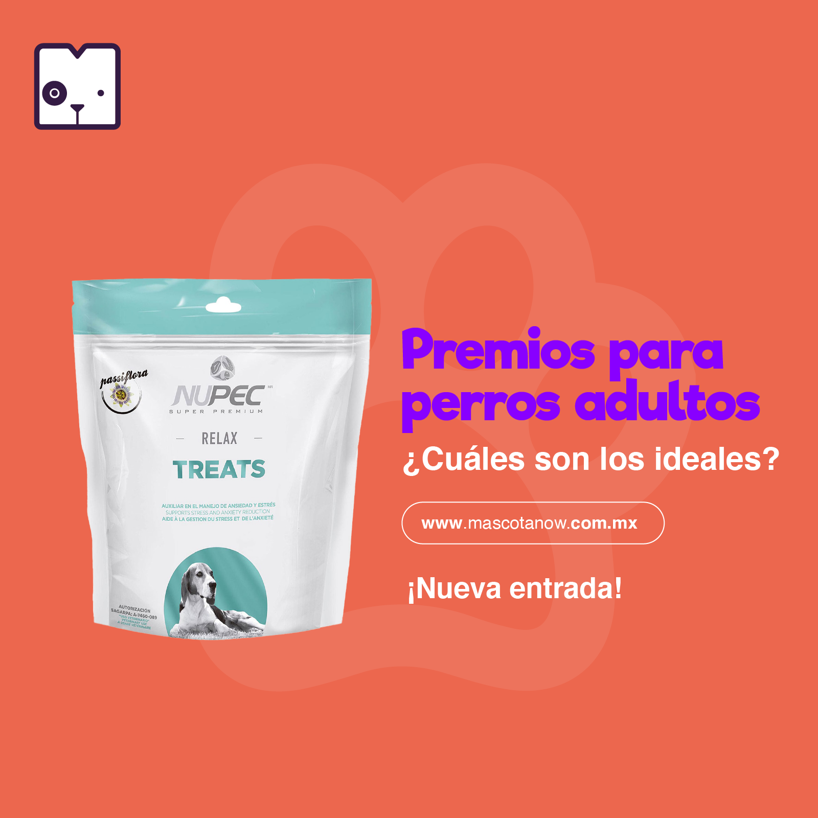 Premios para perros adultos, ¿Cuáles son los ideales?