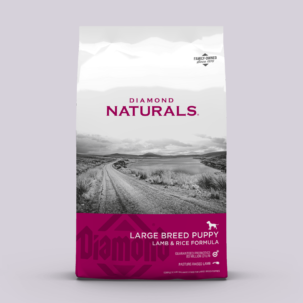 Diamond Naturals Large Breed Puppy - Mascota Now MX