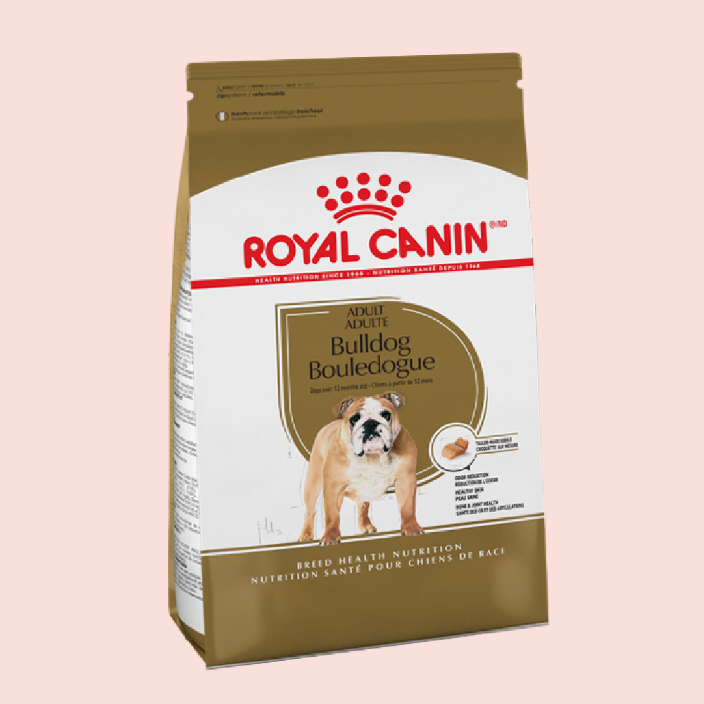 Royal Canin Bulldog Ingles 13.63 kgs - Mascota Now MX
