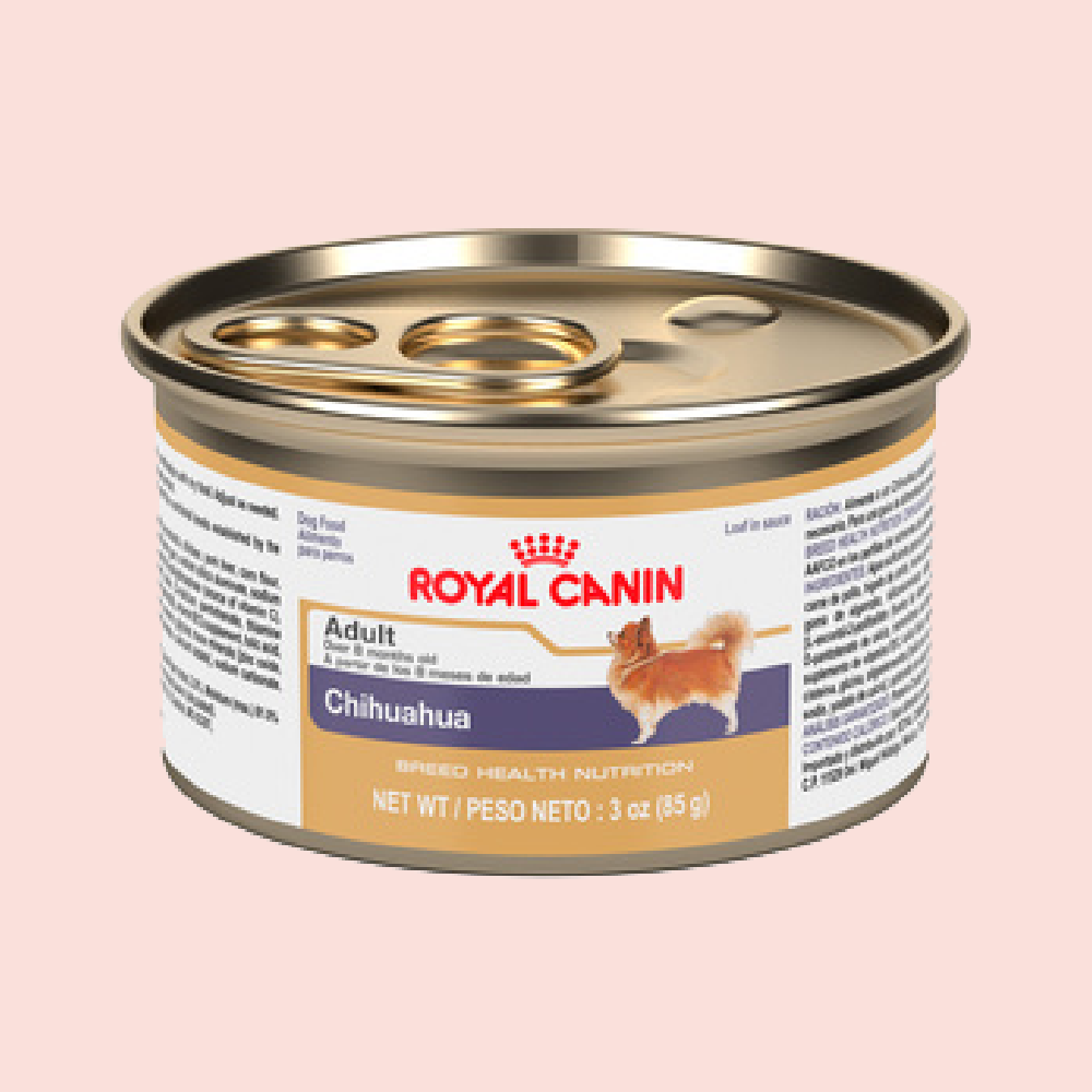 Royal Canin Chihuahua Humedo 85 grs - Mascota Now MX