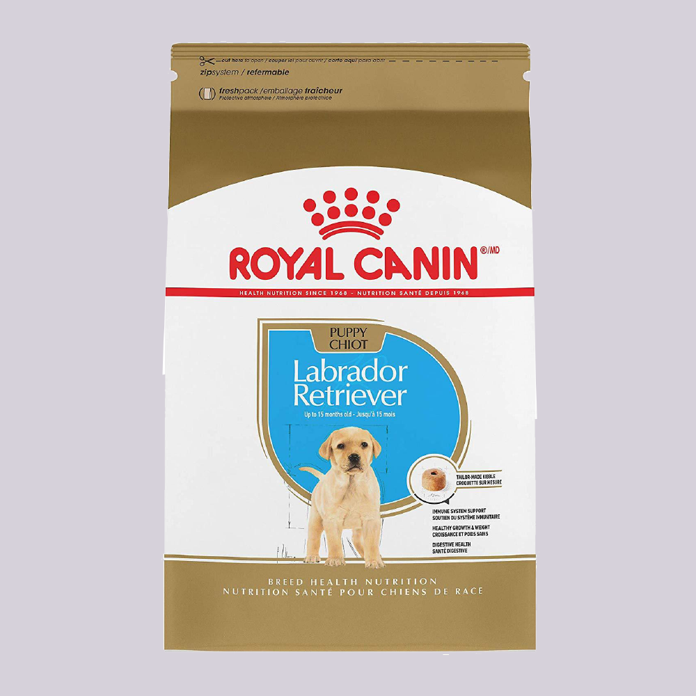 Royal Canin Labrador Puppy 13.63 kgs - Mascota Now MX