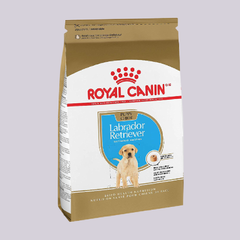 Royal Canin Labrador Puppy 13.63 kgs - Mascota Now MX