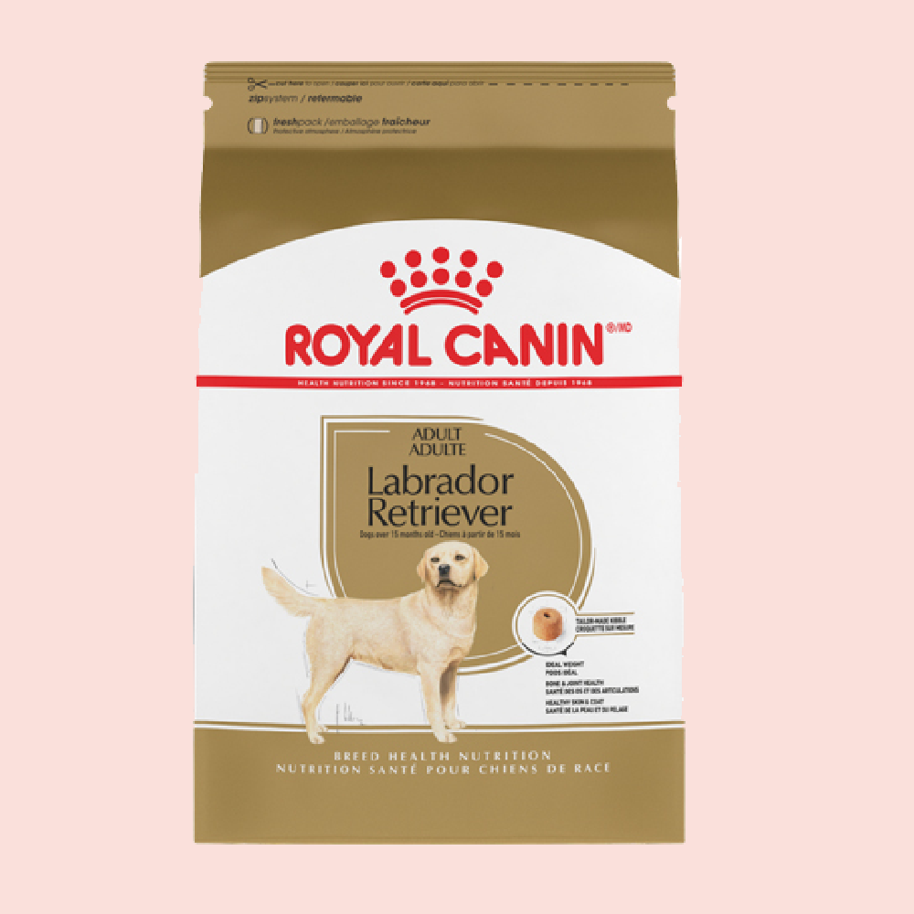 Royal Canin Labrador Retriever 13.63 kgs - Mascota Now MX