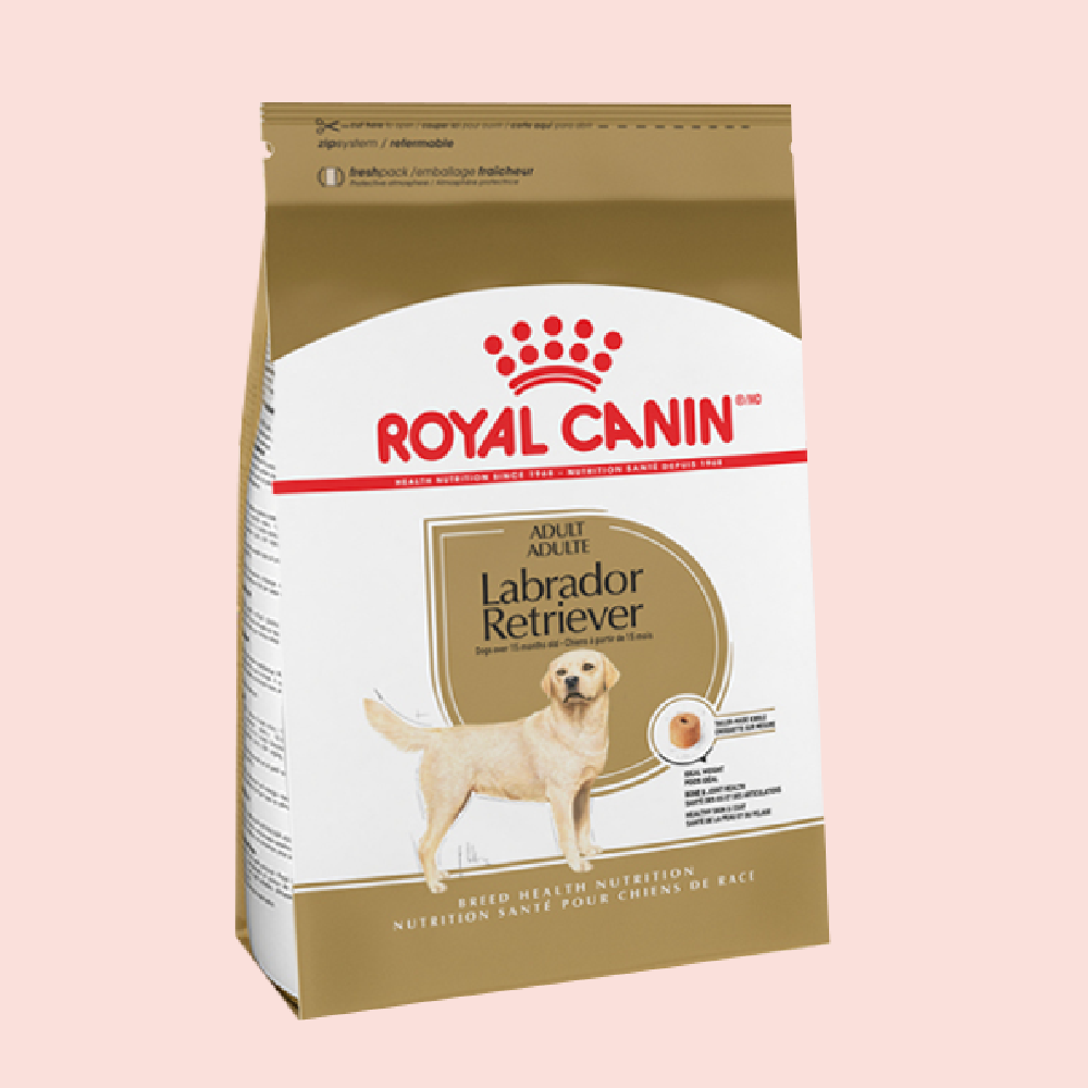 Royal Canin Labrador Retriever 13.63 kgs - Mascota Now MX