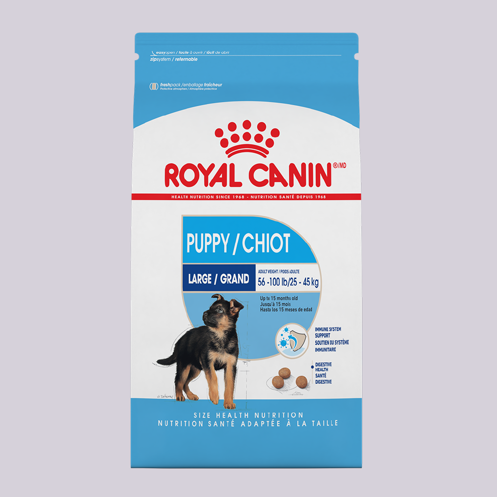 Royal Canin Large Puppy - Mascota Now MX