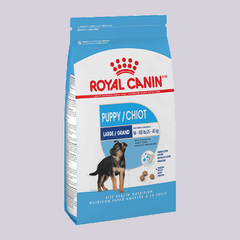 Royal Canin Large Puppy - Mascota Now MX