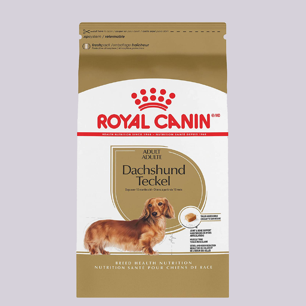 Royal Canin Mini Dachshund 4.54 kgs - Mascota Now MX