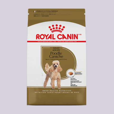 Royal Canin Mini Poodle 4.54 kgs - Mascota Now MX