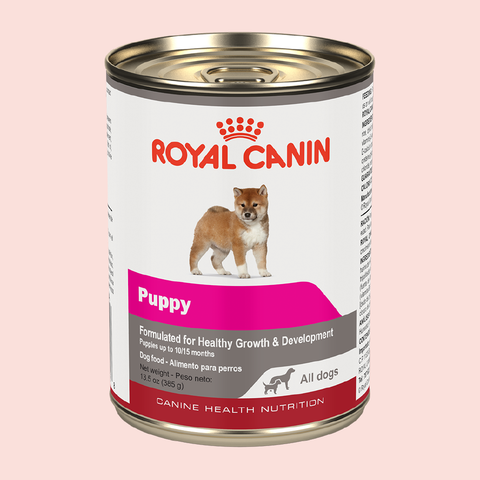 Royal Canin Puppy All Dogs Humedo 385 grs - Mascota Now MX
