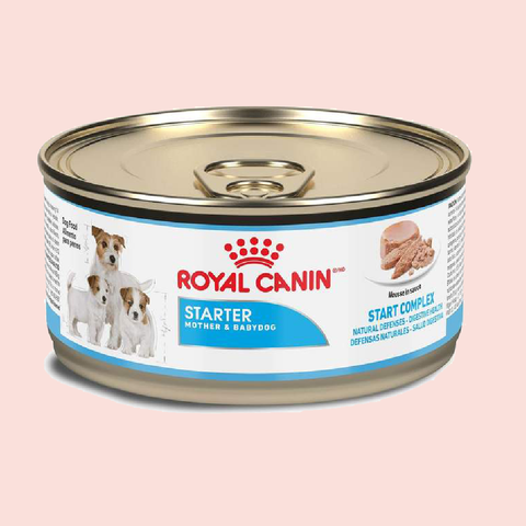 Royal Canin Starter Mousse Humedo 170 grs - Mascota Now MX