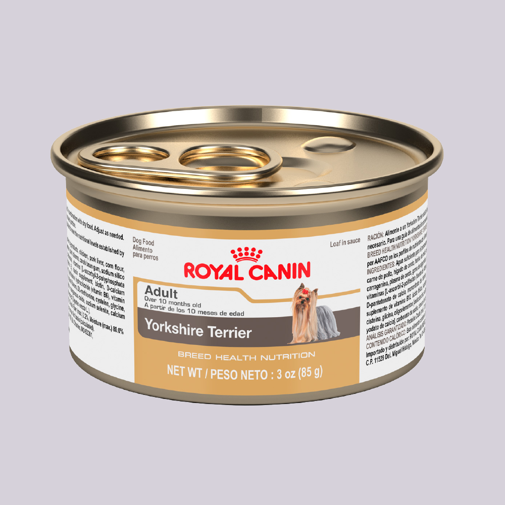 Royal Canin Yorkshire Humedo 85 grs - Mascota Now MX