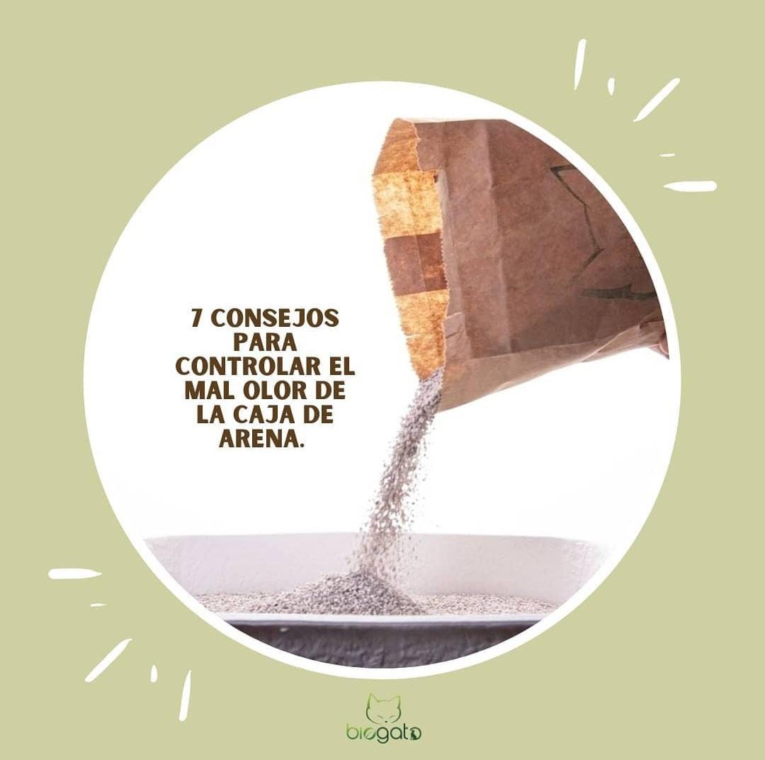 7 consejos para controlar el mal olor del arenero