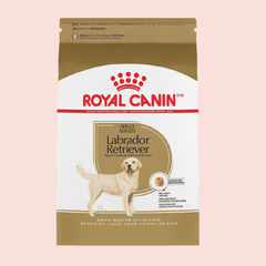 Royal Canin Labrador Retriever 13.63 kgs - Mascota Now MX