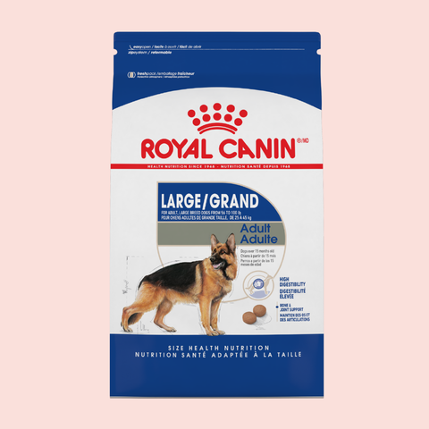 Royal Canin Large Adult 15.9 kgs - Mascota Now MX