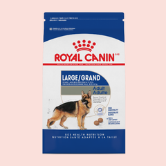Royal Canin Large Adult 15.9 kgs - Mascota Now MX