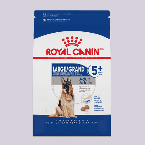Royal Canin Large Adult+5 13.6 kgs - Mascota Now MX