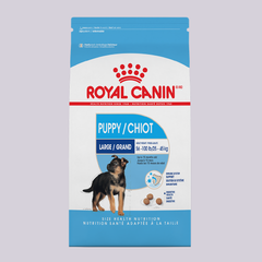 Royal Canin Large Puppy - Mascota Now MX