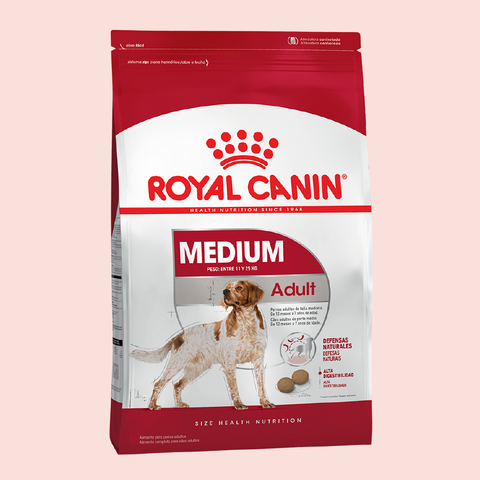 Royal Canin Medium Adult - Mascota Now MX
