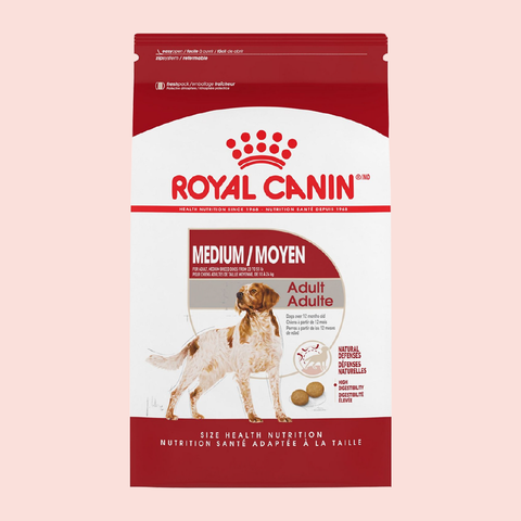 Royal Canin Medium Adult - Mascota Now MX