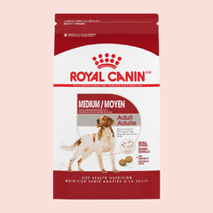 Royal Canin Medium Adult - Mascota Now MX