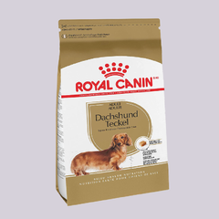 Royal Canin Mini Dachshund 4.54 kgs - Mascota Now MX